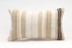 Kilim Pillow, 12x20 in. (KW30503384)
