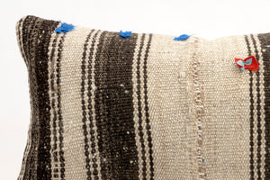 Kilim Pillow, 12x20 in. (KW30503385)