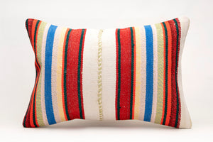 Kilim Pillow, 16x24 in. (KW40601992)