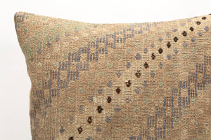 Kilim Pillow, 20x20 in. (KW50502533)