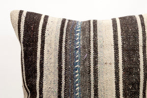 Kilim Pillow, 20x20 in. (KW50502609)