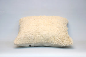 Kilim Pillow, 16x16 in. (KW40403026)