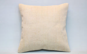 Kilim Pillow, 16x16 in. (KW40403029)