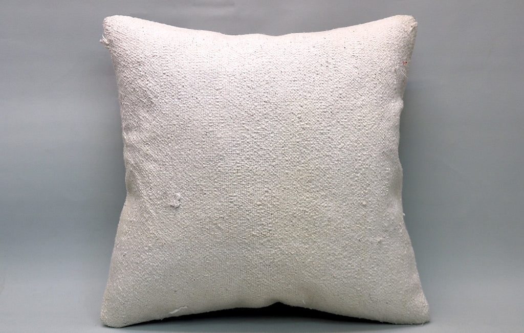 20"x20" Hemp Pillow (KW50501455)