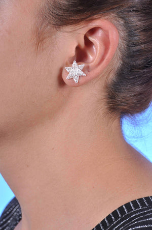 Star Model Filigree Handmade Silver Earrings (NG201013569)