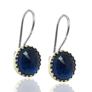 Oval Model Silver Earrings With Sapphire (NG201015119)