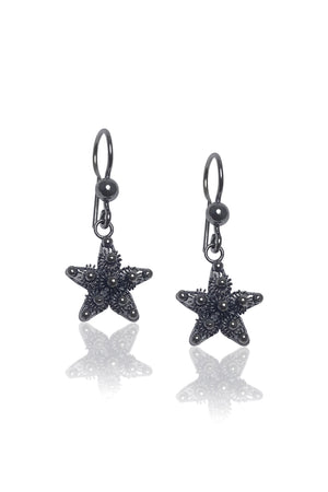 Star Model Oxidized Filigree Silver Earrings (NG201017358)