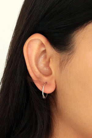 Hoop Model Silver Earrings With Amethyst (NG201019487)