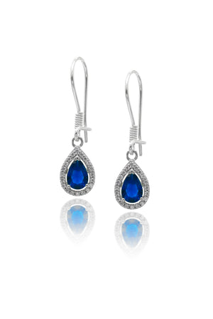 Drop Model Silver Earrings With Sapphire (NG201020119)