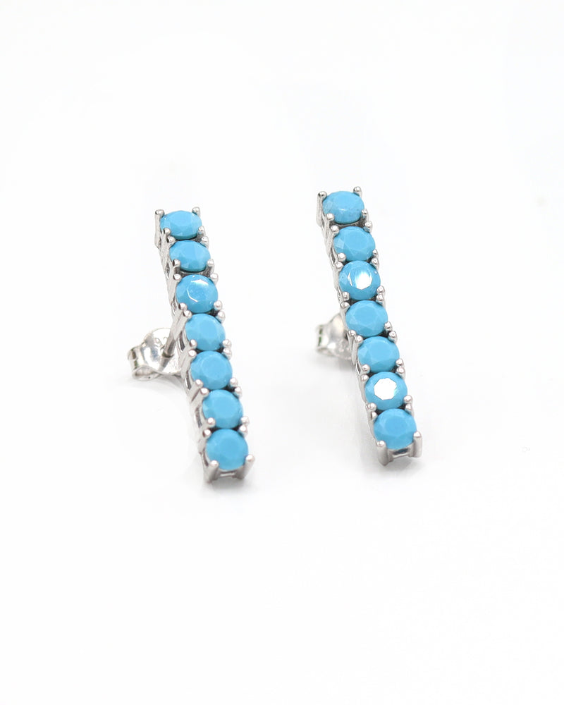 Waterway Model Silver Earrings With Turquoise (NG201021527)