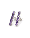 Waterway Model Silver Earrings With Amethyst (NG201021530)