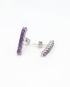 Waterway Model Silver Earrings With Amethyst (NG201021530)