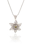 Floral Model Authentic Filigree Silver Necklace With Zultanite (NG201019414)