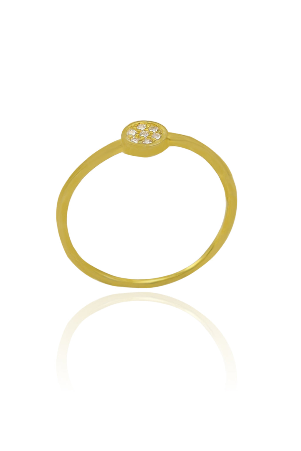 Round Model Gold Plated Silver Ring With Zircon (NG201020537)